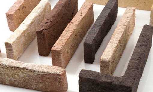Thin bricks