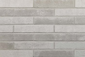 exklusiv6-2023 R1446-LDF