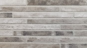 exklusiv6-2023 R1445-LF