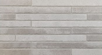 exklusiv6-2023 R1446-LF